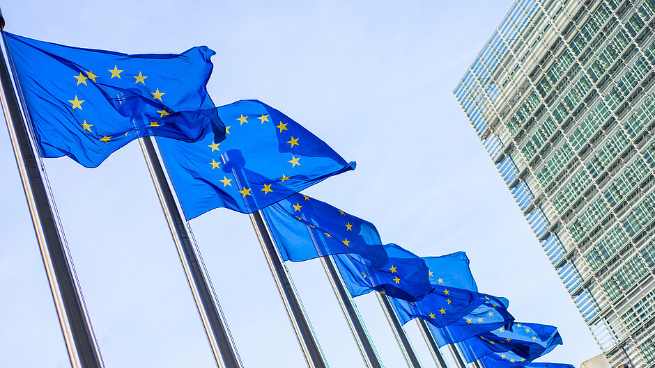 Row of European flags in front of a building