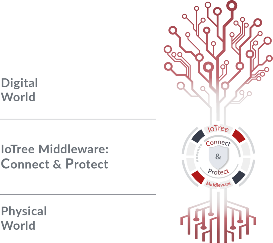 Two tree diagrams in which the digital and physical world are connected by IoTree Middleware Connect & Protect